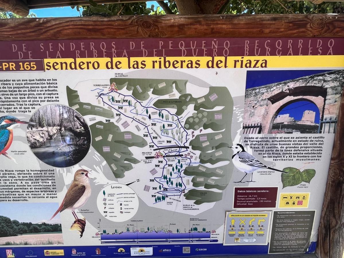 Campillo de Aranda Casa Marite Vivienda De Uso Turisticoヴィラ エクステリア 写真